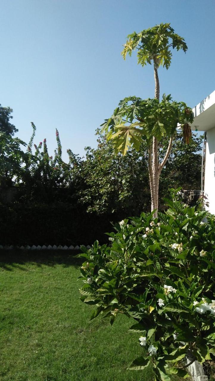 Prem Home Stay Khajurāho Exterior foto